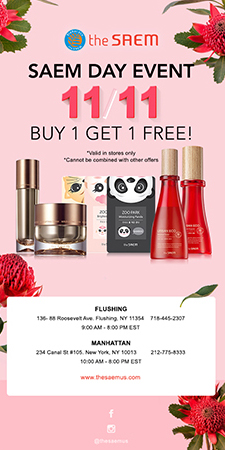 theSAEM